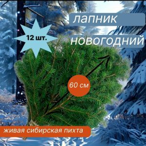 Лапник сибирской пихты