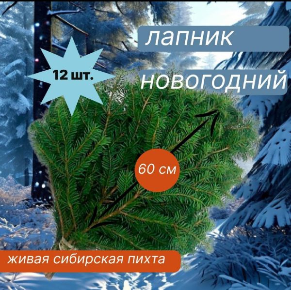 Лапник Сибирской Пихты 70 см